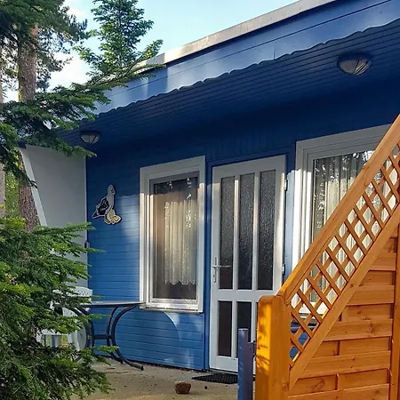 Kieferneck Appartement Freest