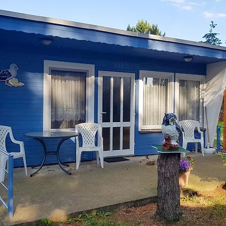 Appartement Kieferneck Freest